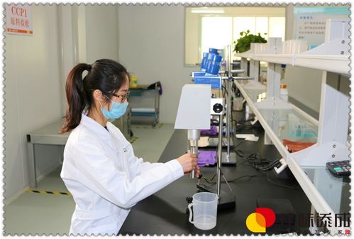 木瓜汁保健飲料配方開發與專業加工技術轉讓